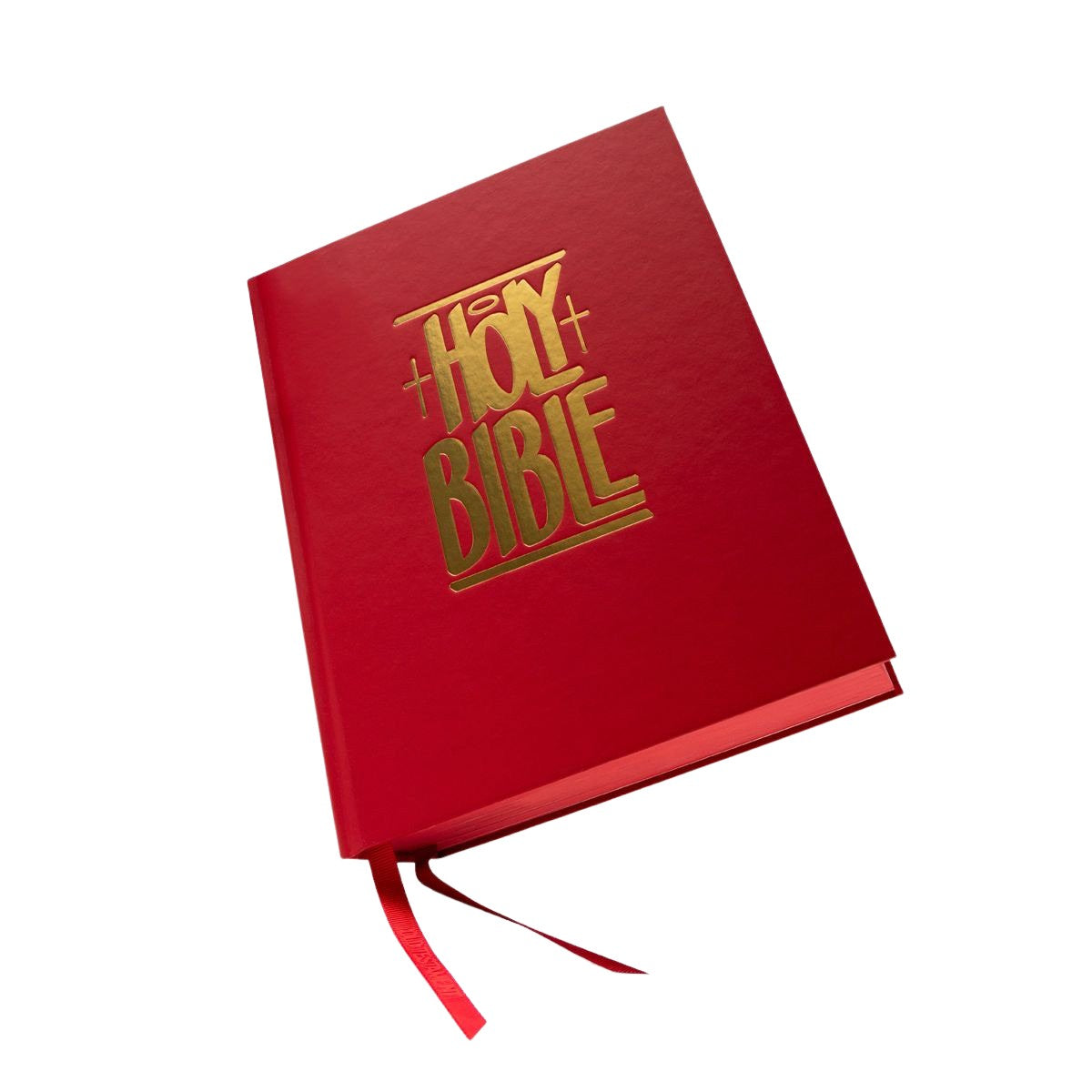 Haze NIV Holy Bible