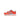 Nike Dunk Low (PSE)