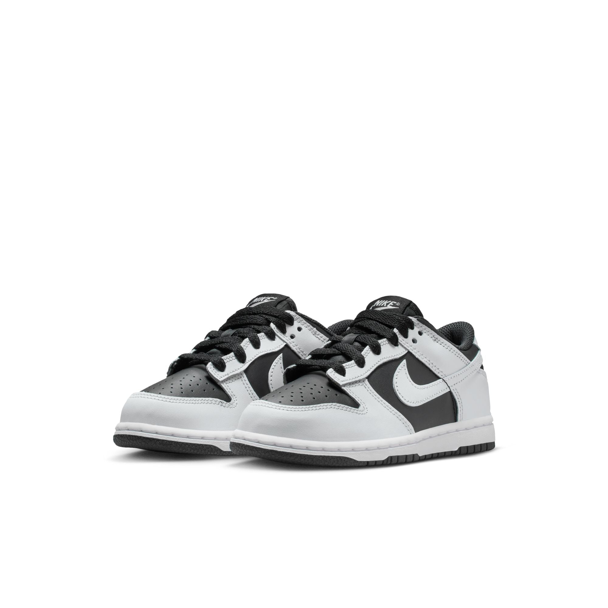 Nike Dunk Low (PSE)