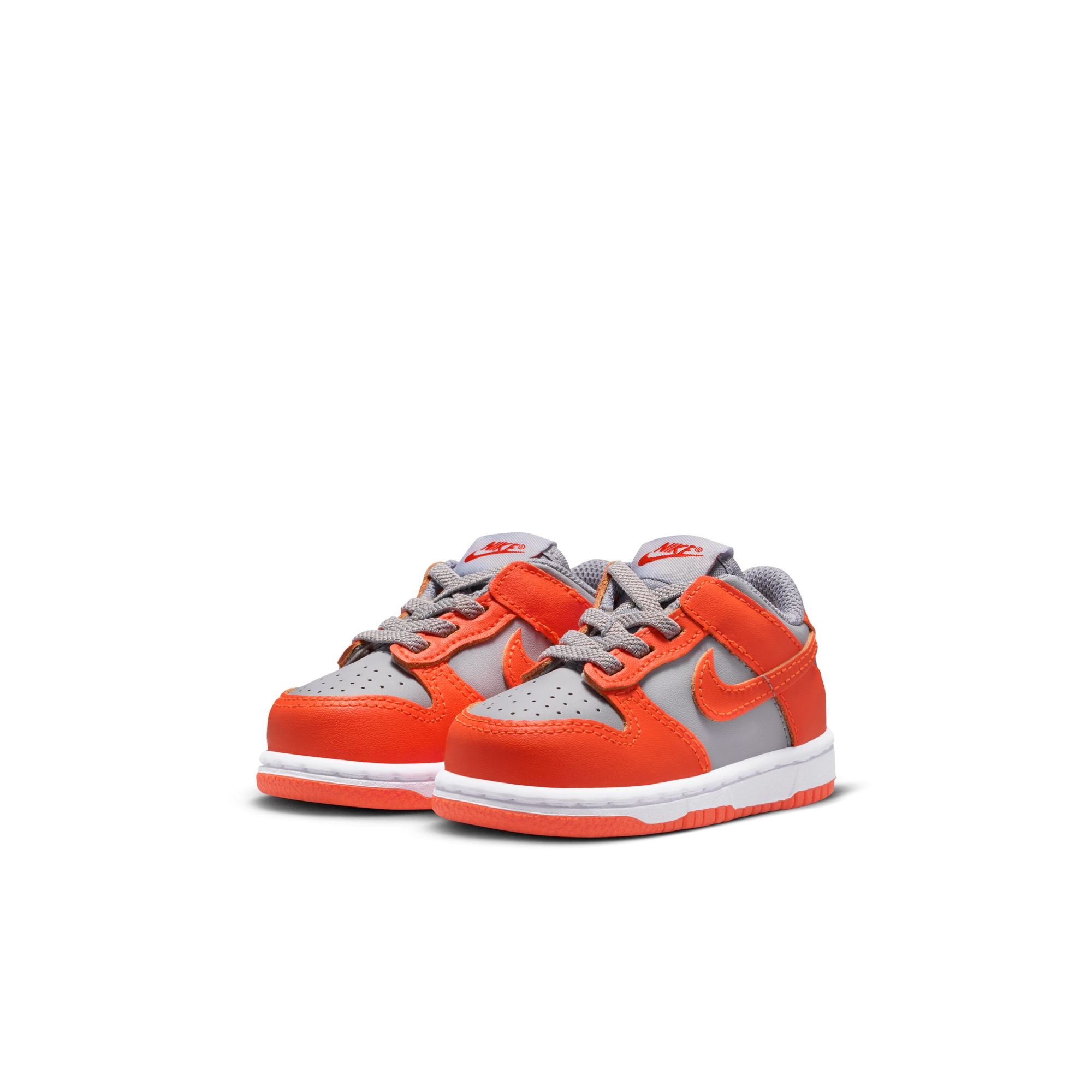 Dunk Low (TDE)