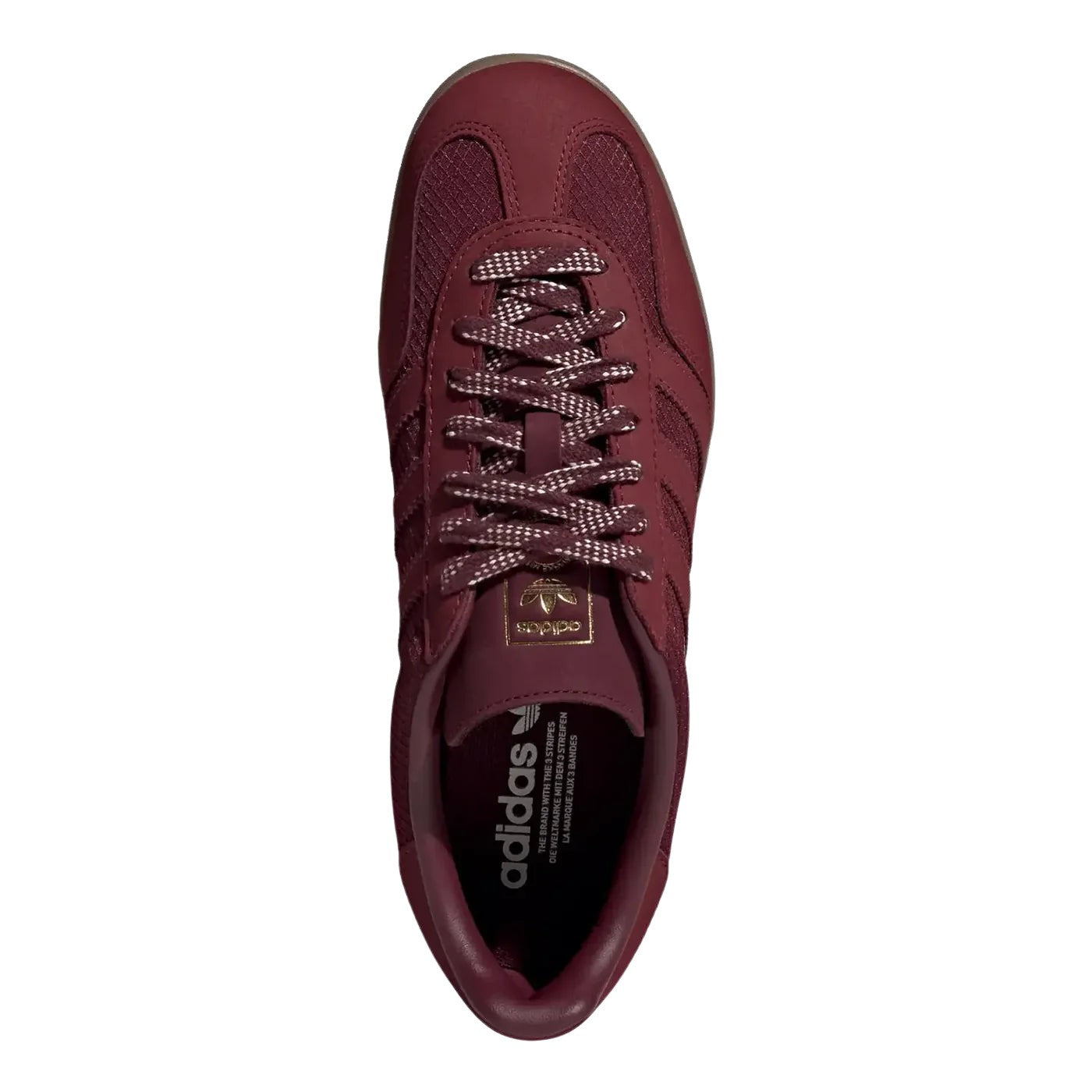 Gazelle Indoor