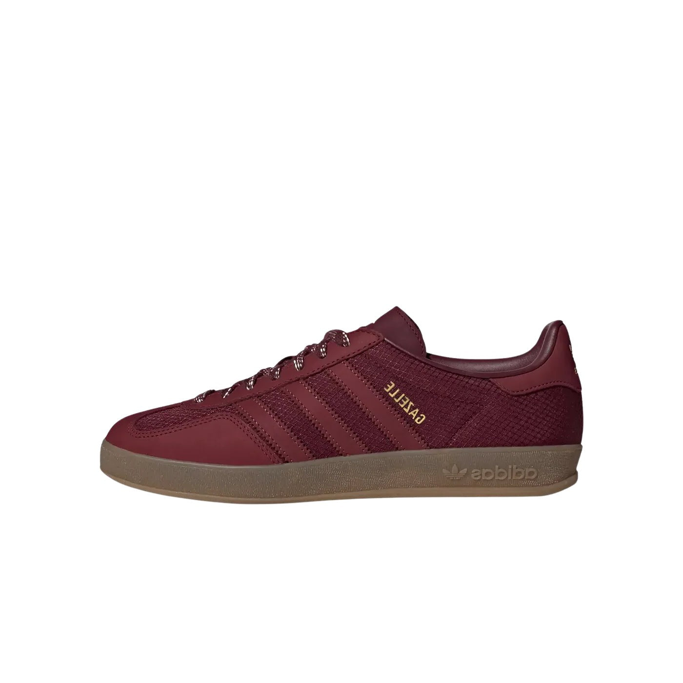 Gazelle Indoor