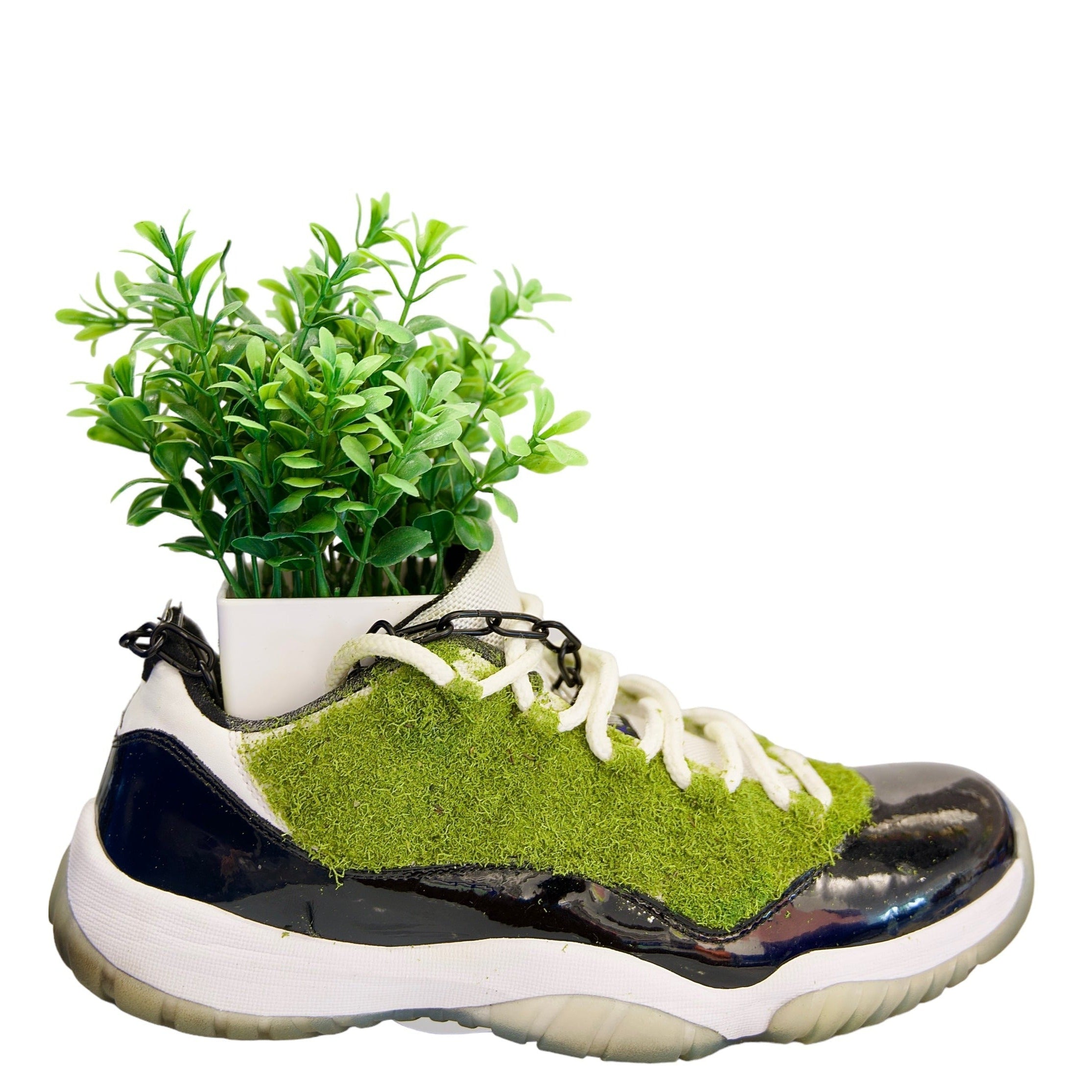 Sneaker Planter ( Concord 11 Low)